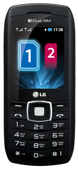 LG GX300
